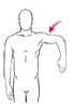 Abbildung Aussenrotation im Schultergelenk